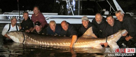 �����𾪵ľ������� �����������Ȥͼ��