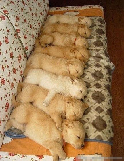 ����Щ���������˱��� ��Ц��ͼ