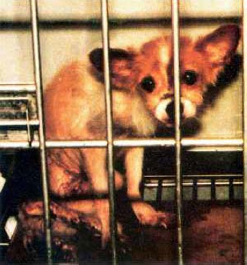 ���أ��Ҳ��̶õĶ���ʵ�����Ƭ��ͼ��