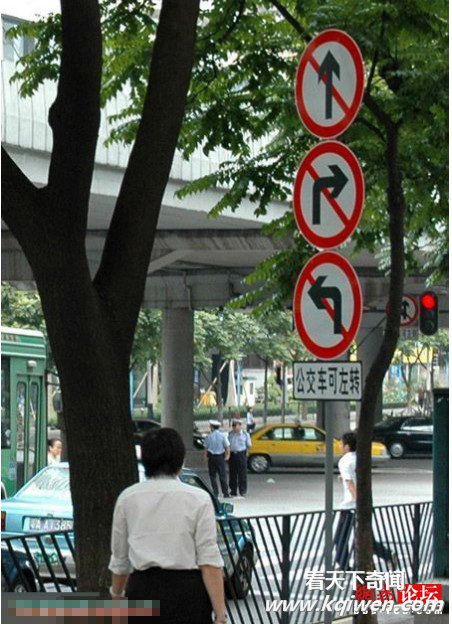 �̵���Ů���ֲ�����̬��Ϊ ��������(��ͼ62P)