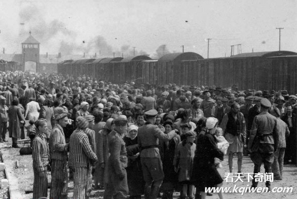 �ҿ���սʱ�¹��ɴ����˷�ָ�ı��� ����Ӫʬ����(��ͼ)